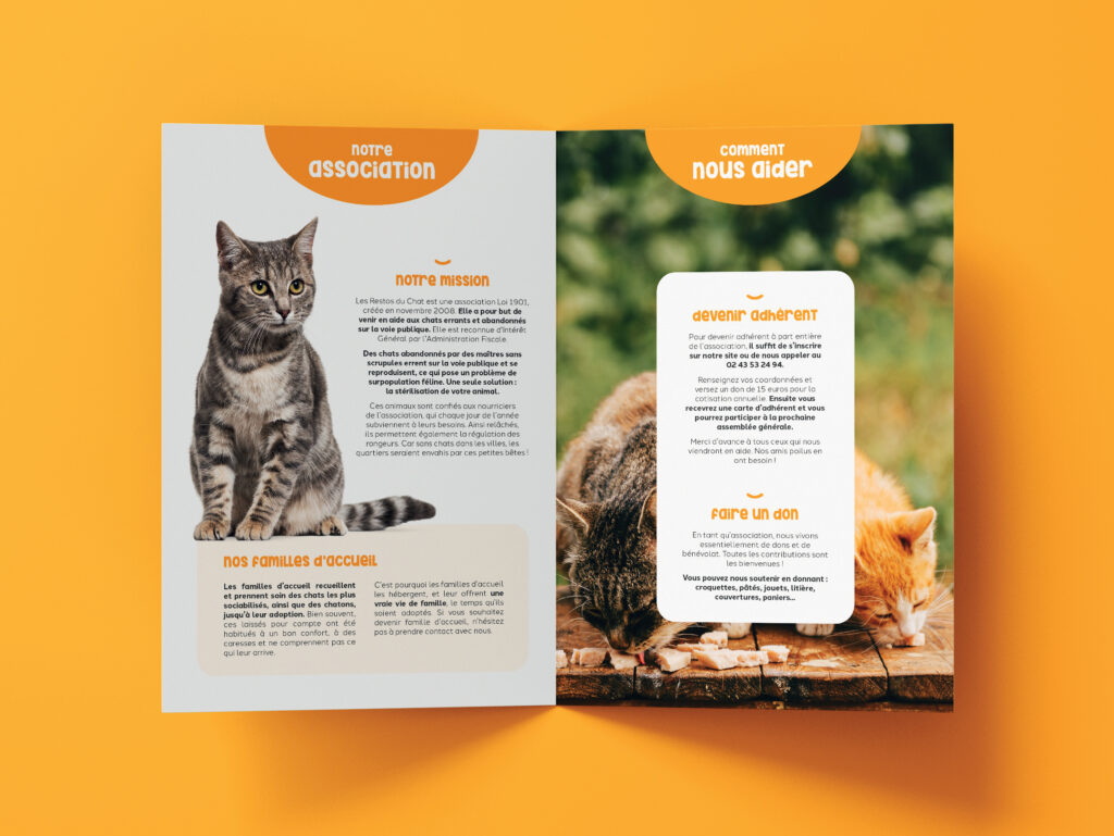 Dépliant designé pour l'association des Restos du chat par Madame Bold